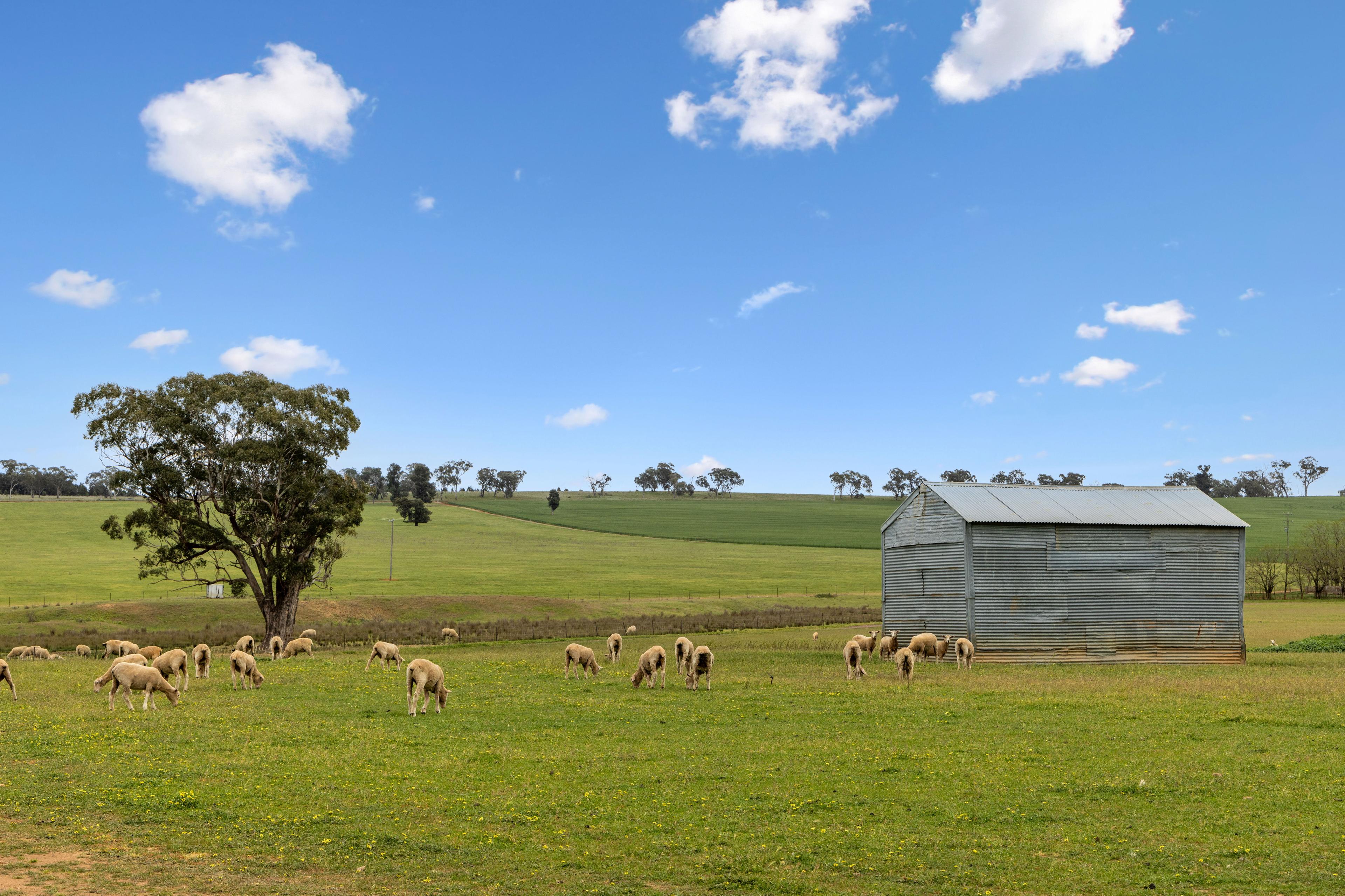 Rural acreage property captured by Patorama