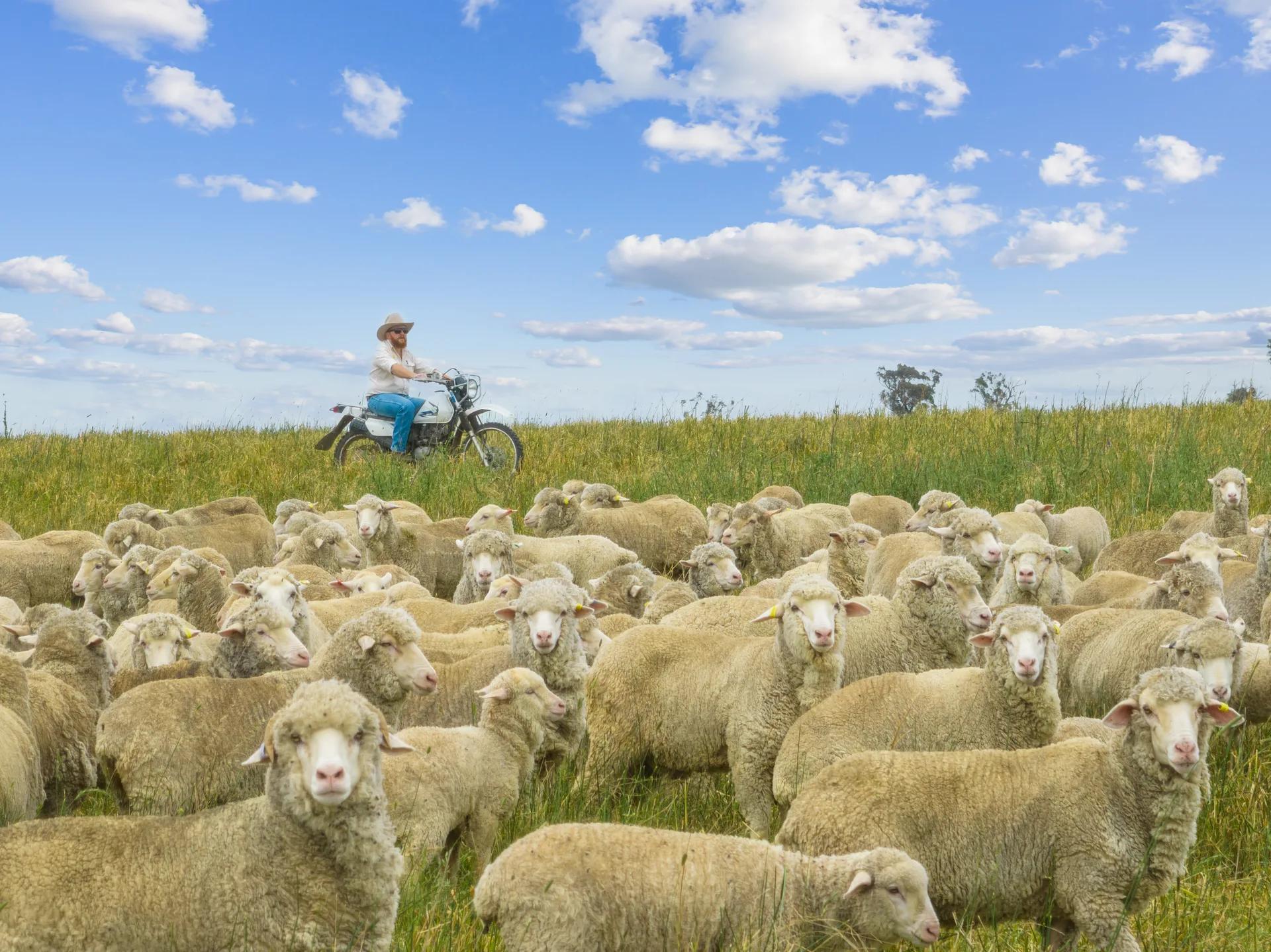 Jeir rural property photographed by Patorama Studios