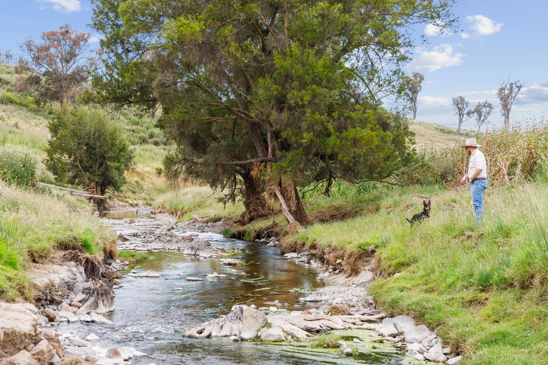 Jeir rural property photographed by Patorama Studios