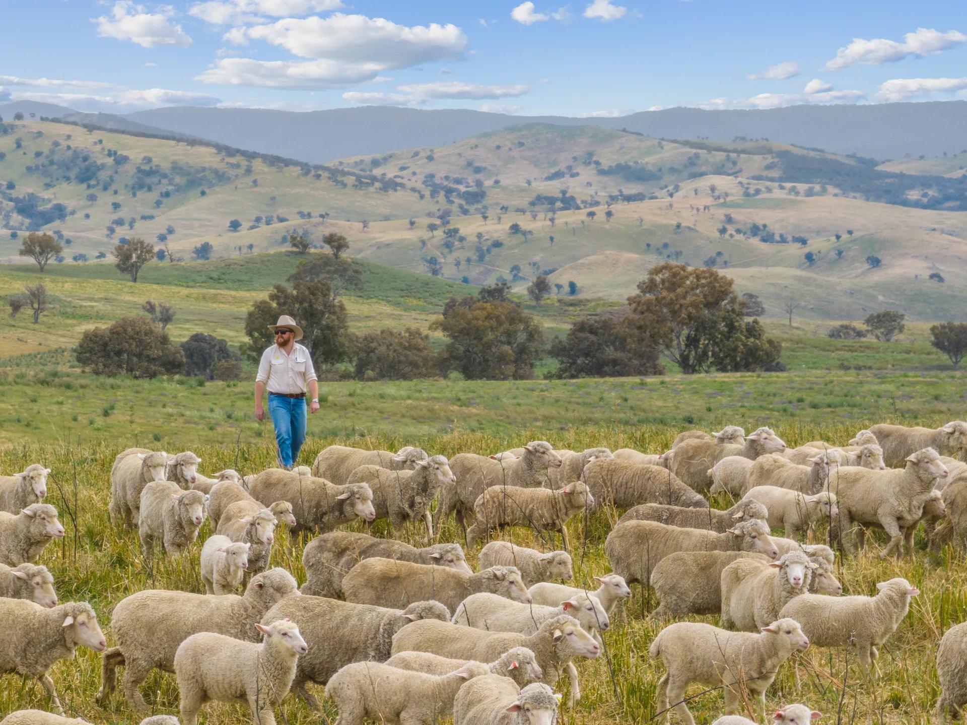 Jeir rural property photographed by Patorama Studios