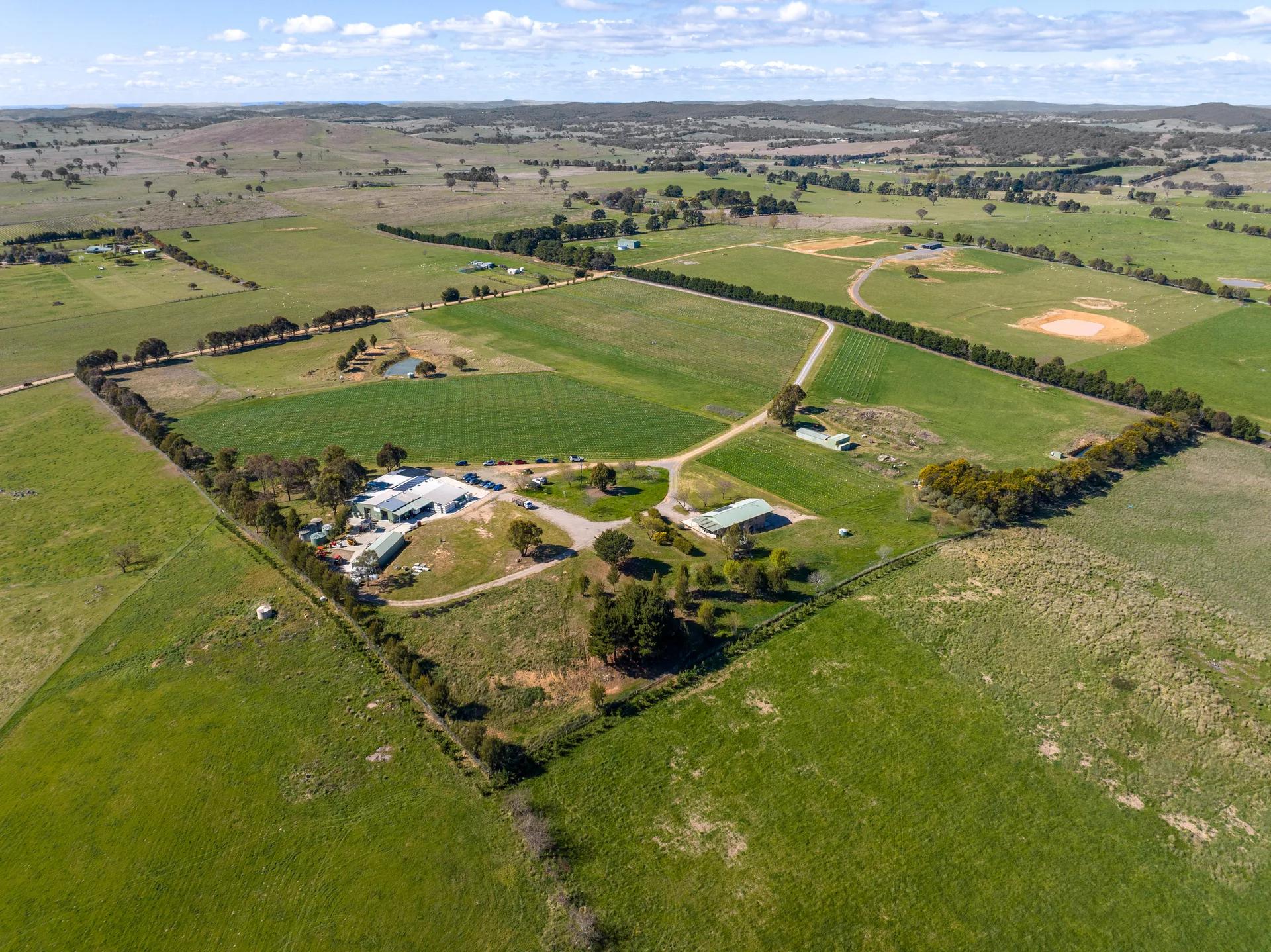 Murrumbateman rural property photographed by Patorama Studios