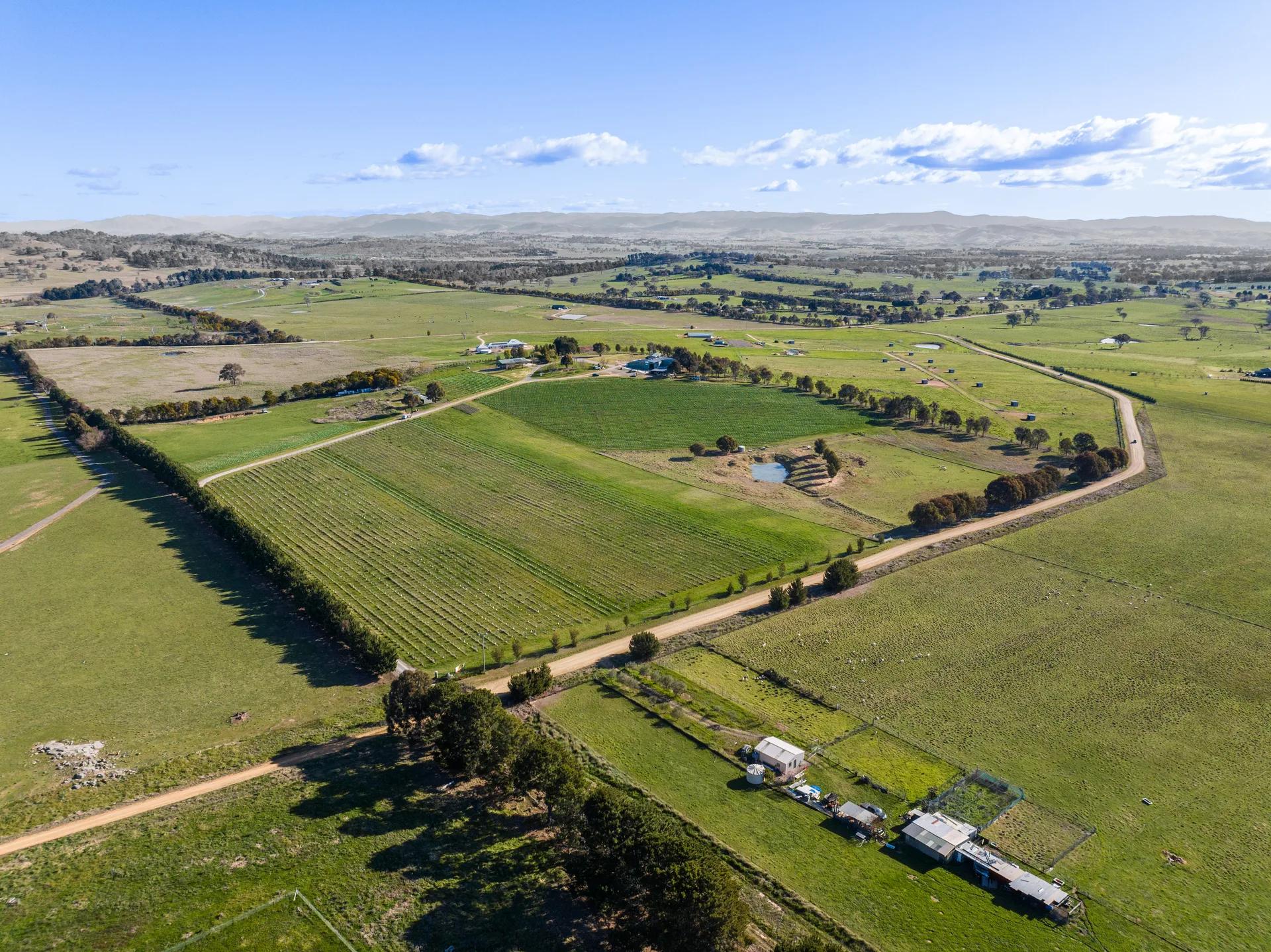 Murrumbateman rural property photographed by Patorama Studios