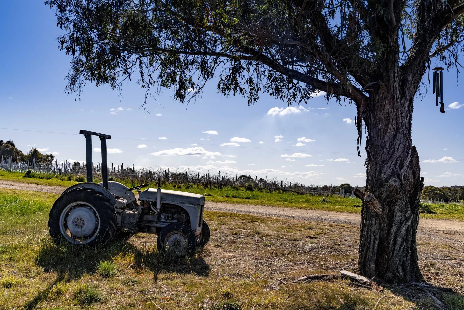 Murrumbateman rural property photographed by Patorama Studios