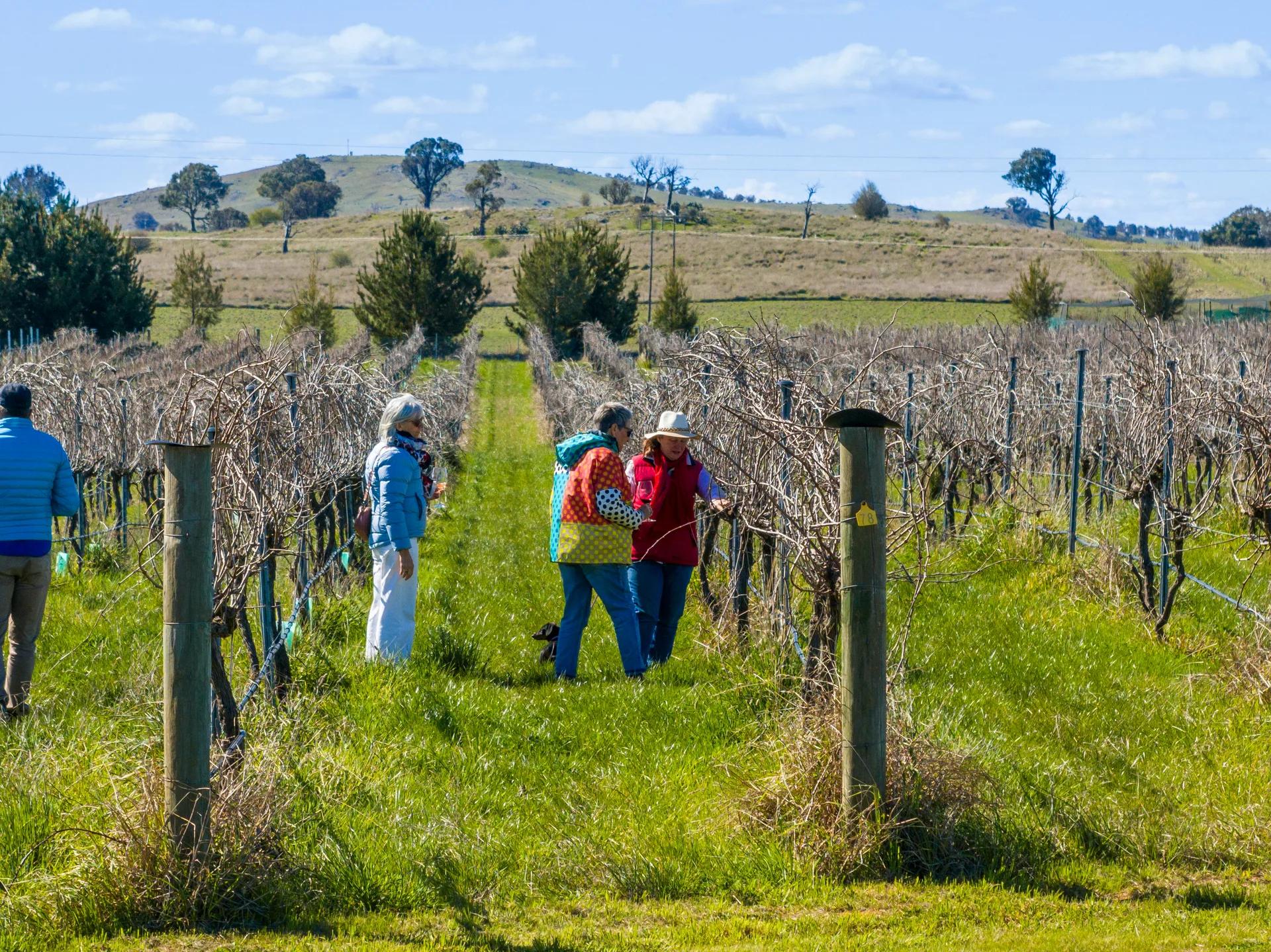 Murrumbateman rural property photographed by Patorama Studios