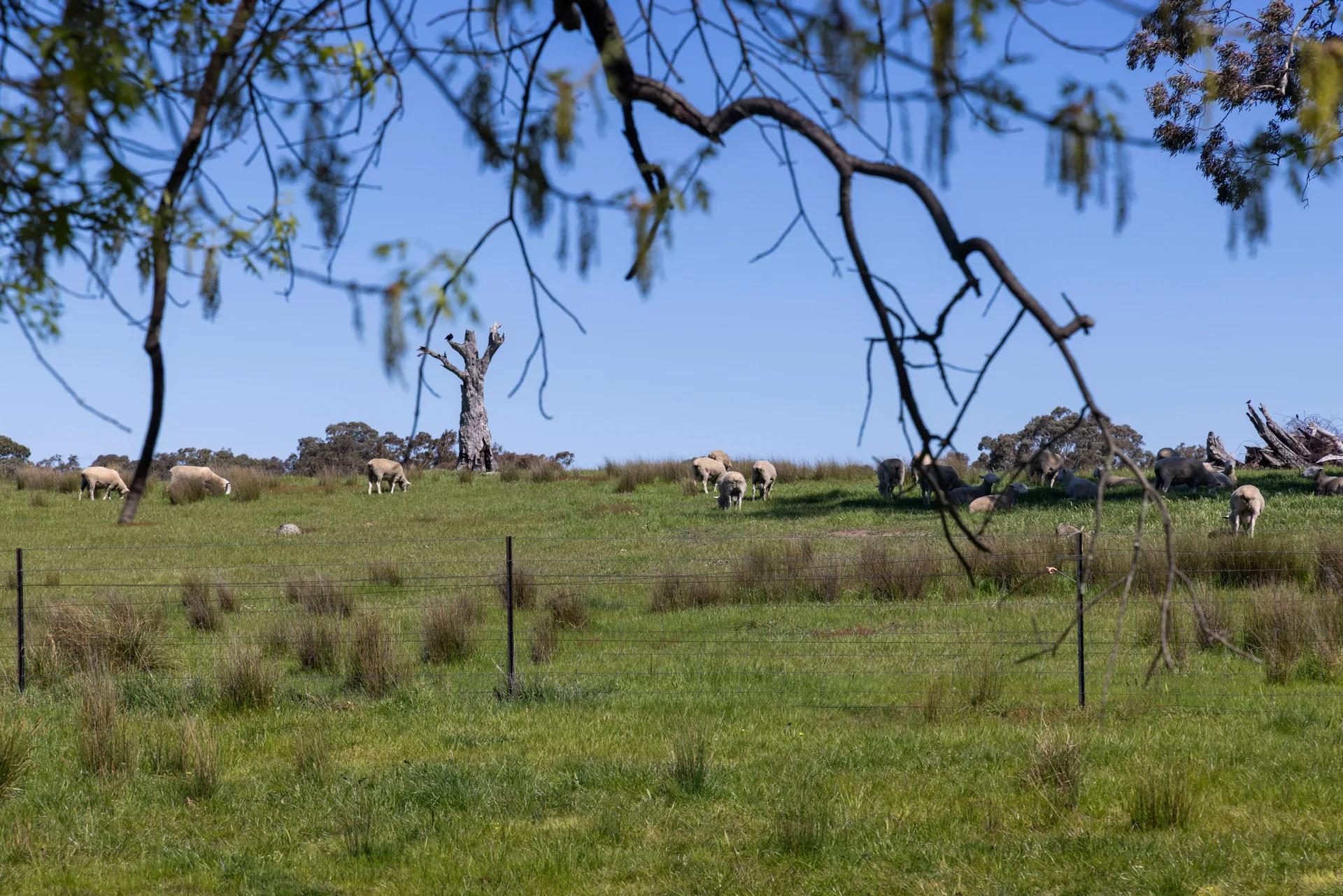 Uriarra rural property photographed by Patorama Studios