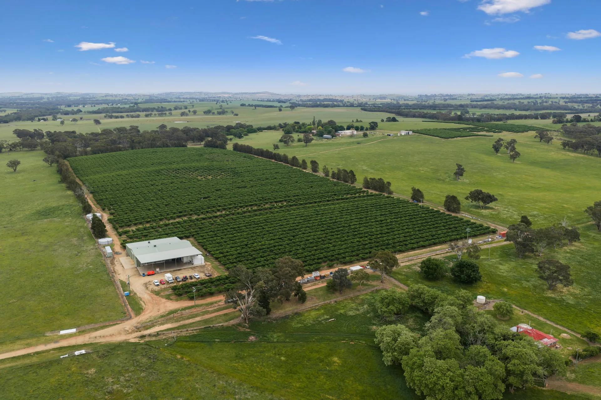 Wombat rural property photographed by Patorama Studios