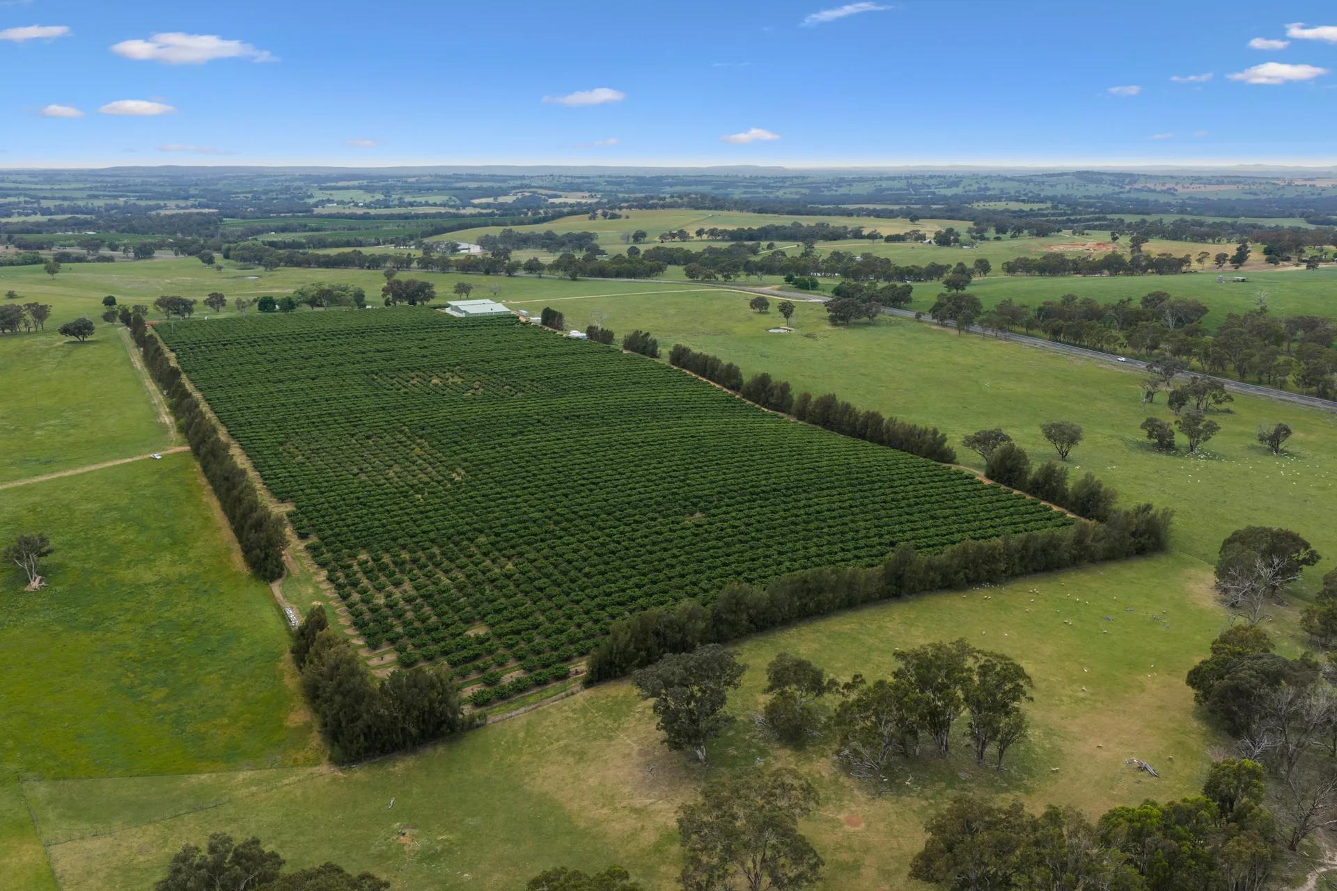 Wombat rural property photographed by Patorama Studios