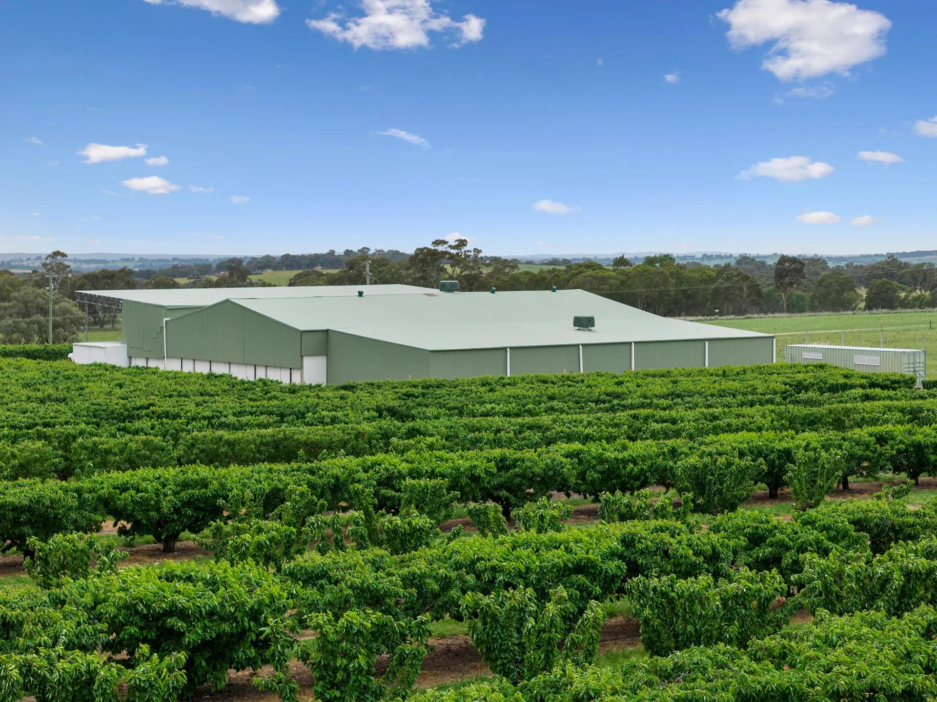 Wombat rural property photographed by Patorama Studios