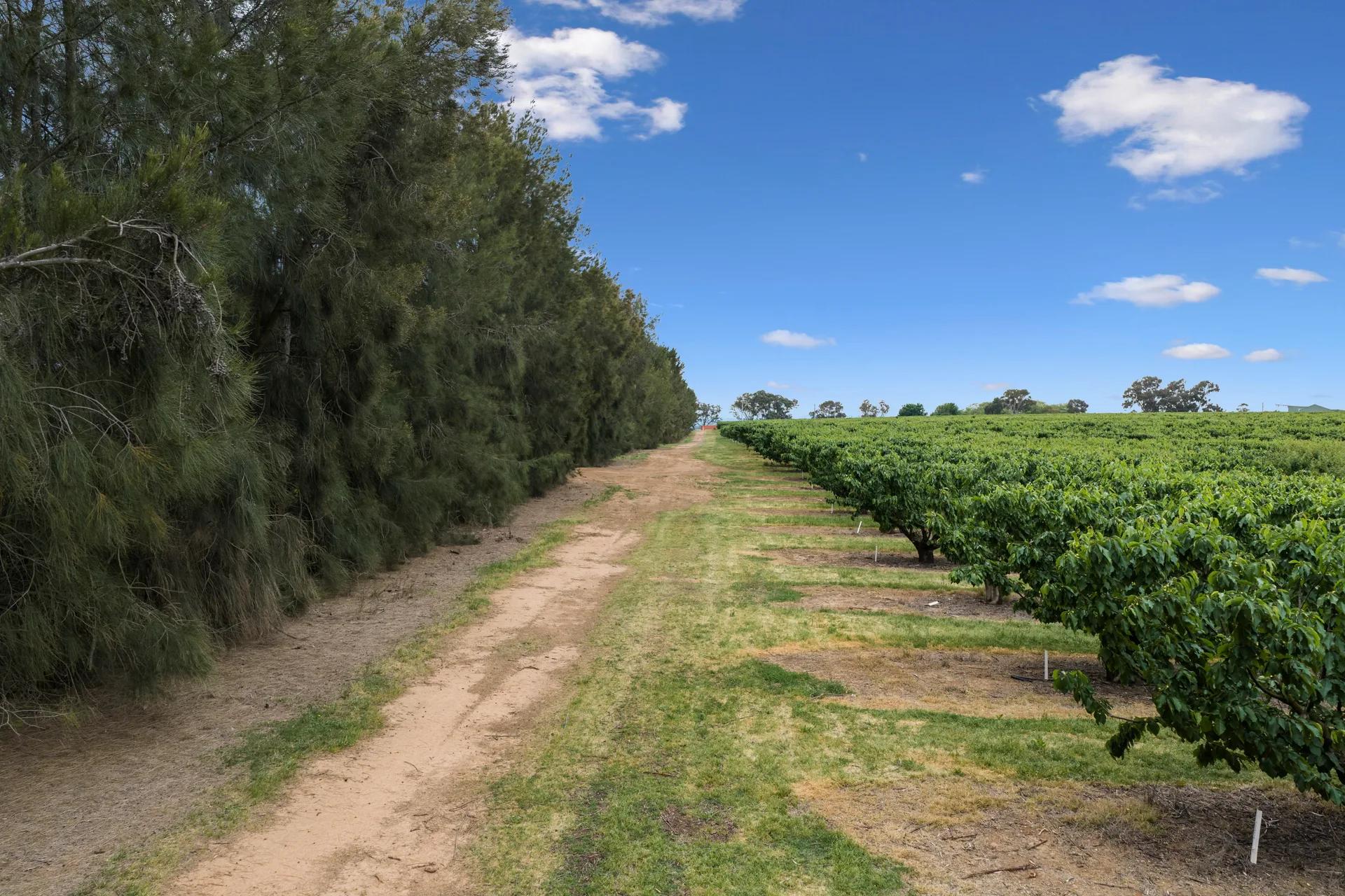 Wombat rural property photographed by Patorama Studios