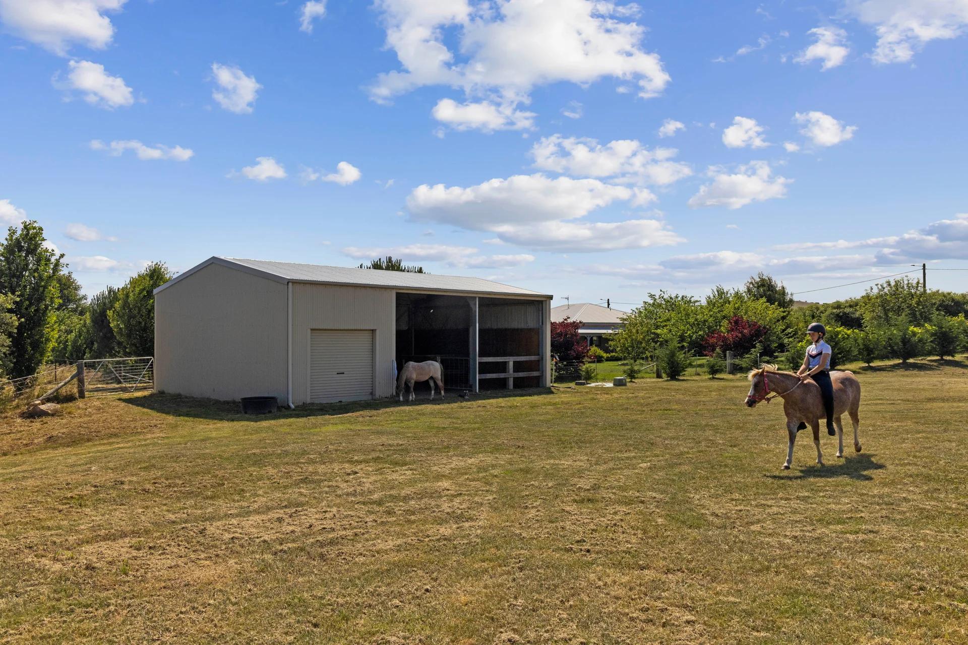 Braidwood