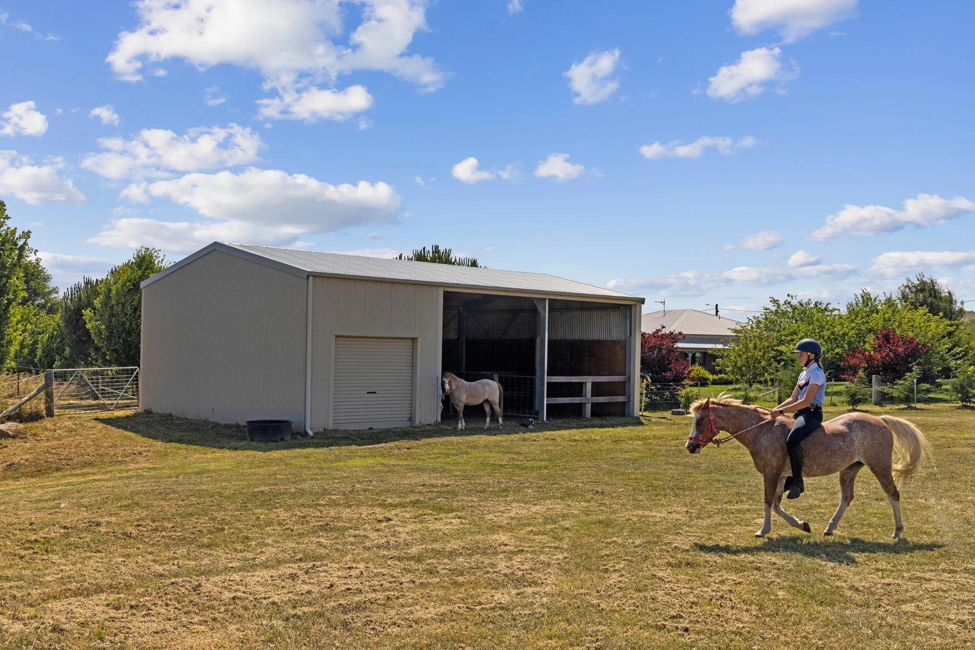 Braidwood