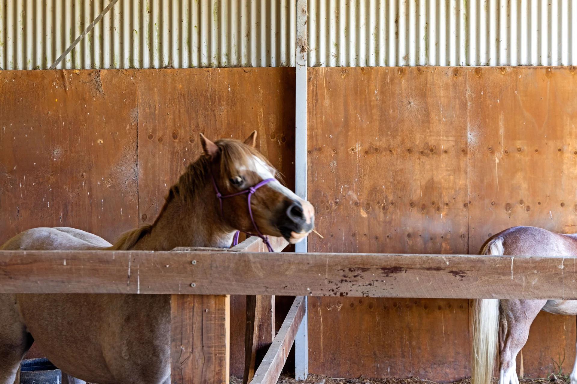 Braidwood