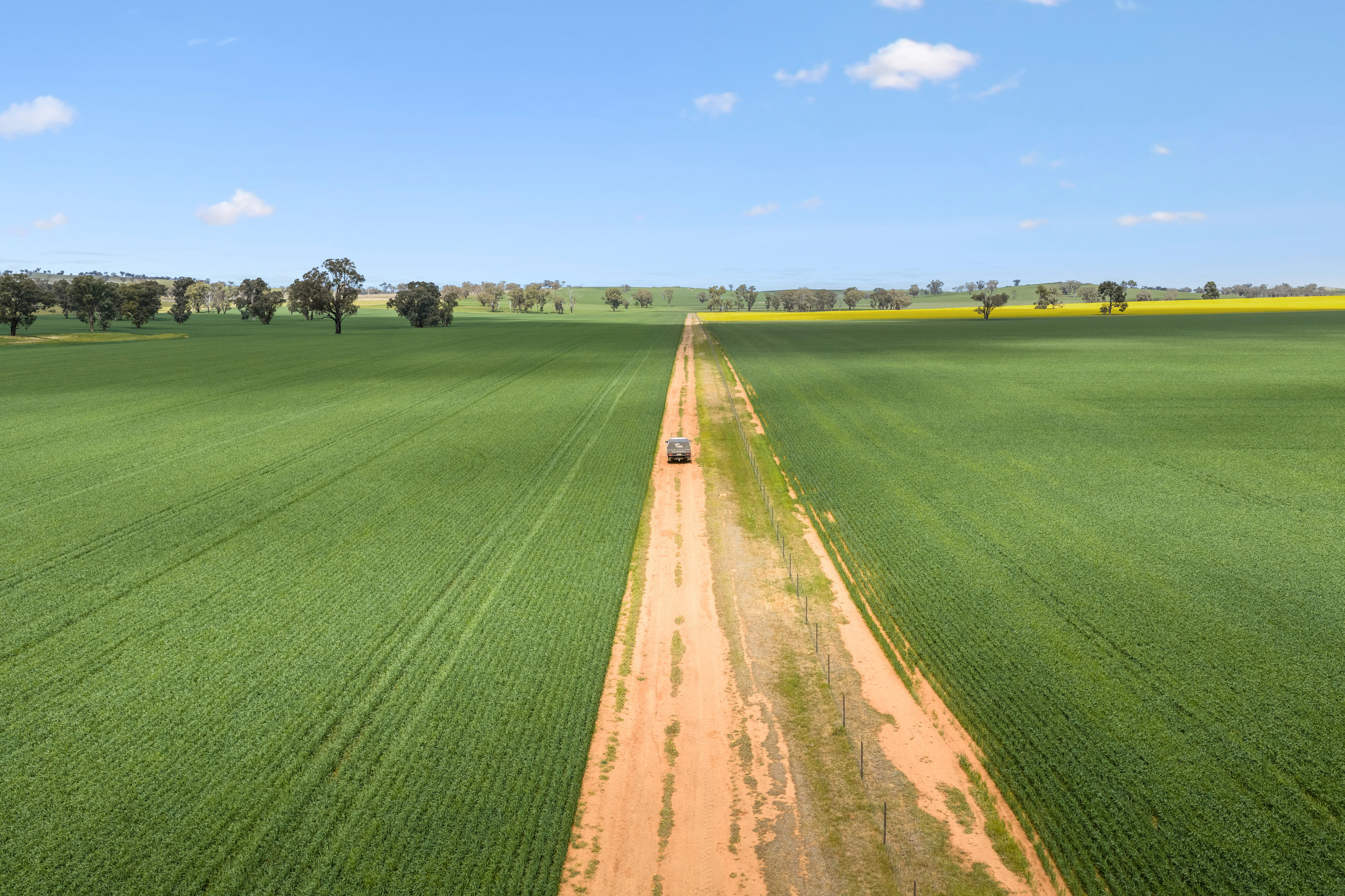 Aerial Drone View